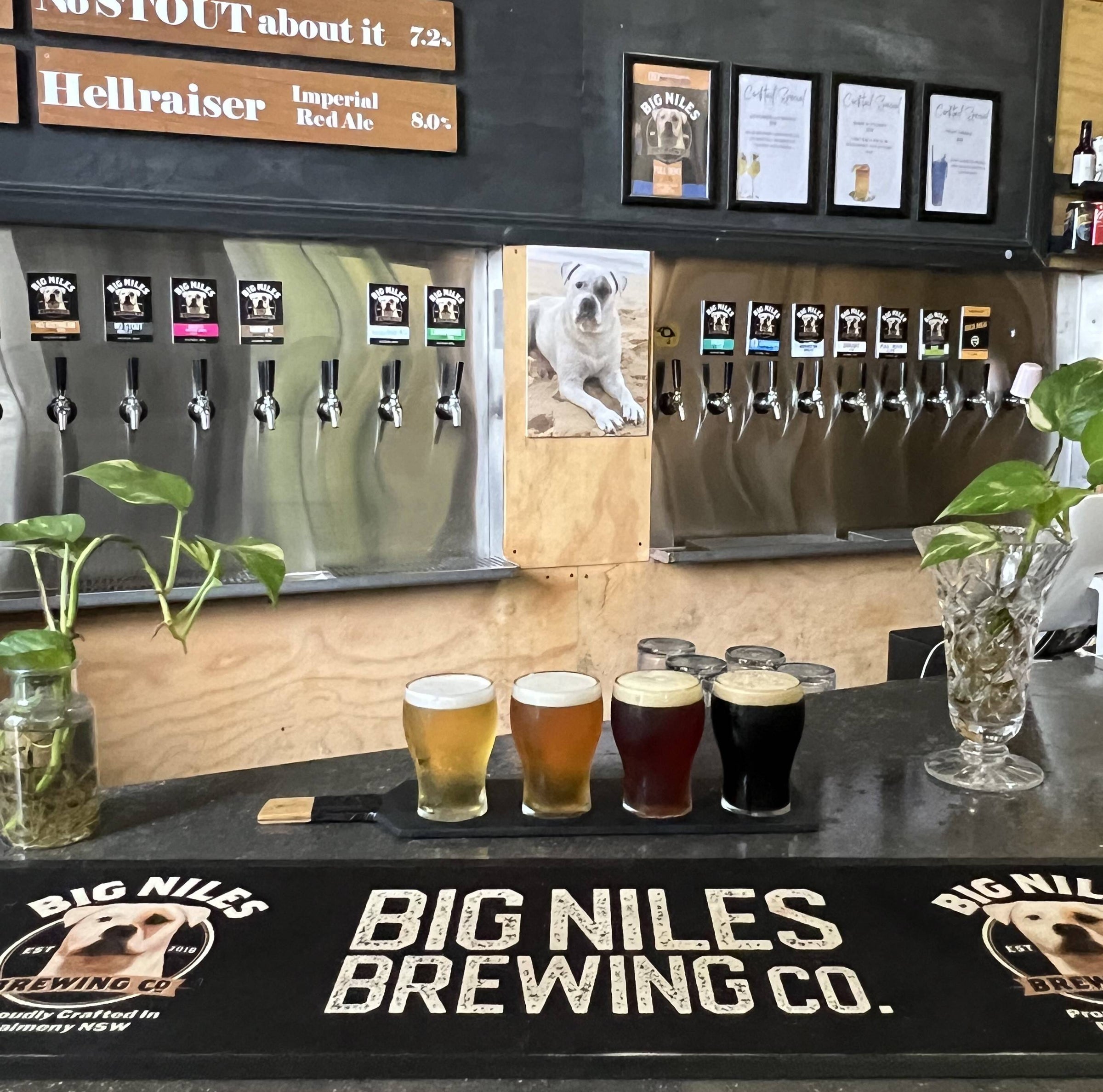 Home Big Niles Brewing Co